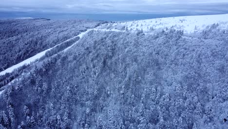 Aerial-slow-fly-view-of-Chitelet-mountain-road-among-snow-capped-forests-during-winter-in-Hautes-Vosges,-France