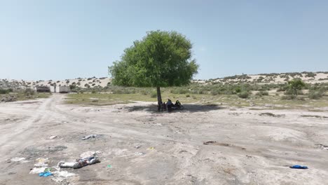 Luftaufnahmen-Von-Drohnen-Zeigen-Einen-Einzelnen-Baum,-Der-Inmitten-Der-Salzseelandschaft-In-Sanghar-Sindh,-Pakistan,-Steht