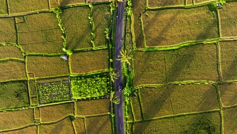 Long-Static-Drone-of-Street-Through-Countryside-Rice-Terrace-Fields