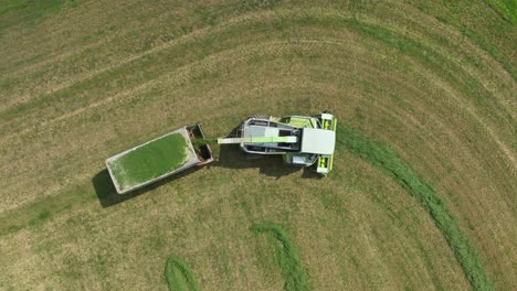 Aerial-view-of-a-forage-harvester-collecting-hay-silage-in-a-field