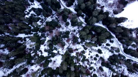 Aerial-top-down-view-of-winding-mountain-road-among-snow-capped-forests-during-winter-in-Hautes-Vosges,-France