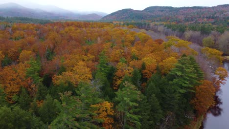 Kastanienbraun-Gefärbtes-Waldlaub-In-Der-Luftaufnahme-Von-New-Hampshire