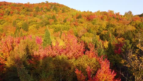 Montreal-Landscape-in-Colorful-Fall-Forest-with-Golden-Hour-Approaching,-Aerial-Wide-Shot