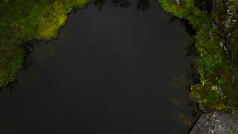 Deep-Dark-Lake-Down-The-Mountain-Forest