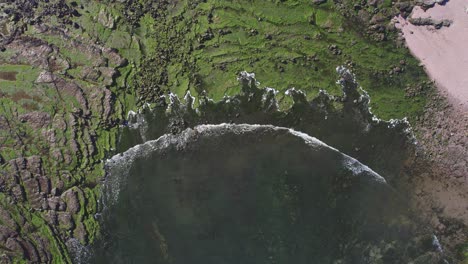 Drone-Acercándose-A-La-Playa-Con-Algas-Verdes-Y-Moviéndose-Tierra-Adentro-Hacia-Las-Rocas-En-Bahía-Bustamante,-Pinguinera