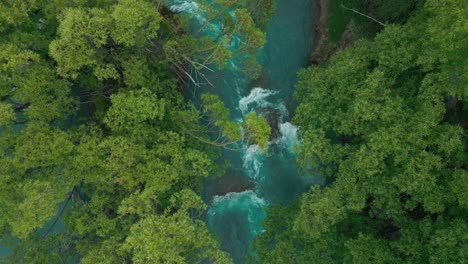 Cass-River-Nueva-Zelanda-Water-Rapid-Drone-Disparó-A-Través-De-Los-árboles