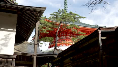 Blick-Auf-Die-Spitze-Des-Konpon-Daito-Im-Hintergrund-Hinter-Einem-Baum-In-Koyasan
