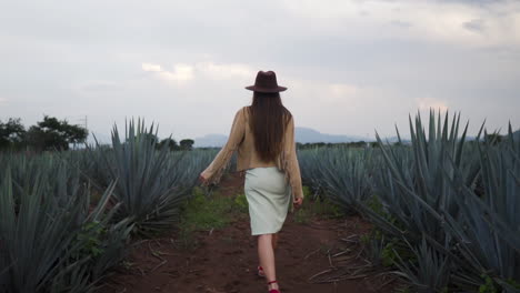 Young-attractive-woman-elegantly-walking-through-Agave-fields-in-Mexico---Tracking-follow-shot