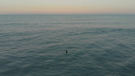 Surfer-half-submerged-in-ocean-waters,-finding-inner-peace-at-golden-hour-evening-time