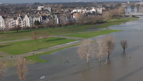 People-assess-flooded-Rhine-shoreline-in-Oberkassel-Dusseldorf-after-weeks-of-wet-weather,-water-level-770cm,-drone-view