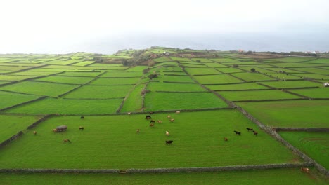 Vasto-Campo-Verde-Rural-En-Azores