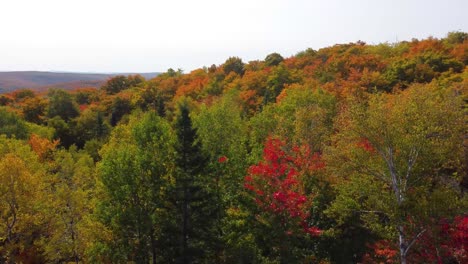 FPV-Drohnenflug-Durch-Den-Wald-Mit-Bunten-Herbstblättern-Im-Wildreservat-La-Verendrye-In-Quebec,-Kanada