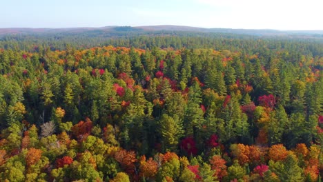 Aerial-drone-shot-revealing-the-beauty-of-nature-during-the-fall-from-above-the-treetops-of-a-forest,-Montreal,-Canada