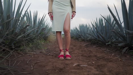 Woman-in-red-sandals-starting-to-walk-through-agave-plantation,-in-Mexico---Low-ground-medium-shot