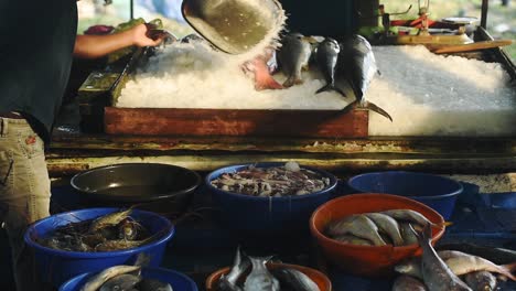 Ein-Fischverkäufer-Gießt-Eis-Auf-Frischen-Fisch,-Um-Ihn-Auf-Einem-öffentlichen-Markt-In-Kochi,-Indien,-Zu-Verkaufen-–-Mittlere-Aufnahme