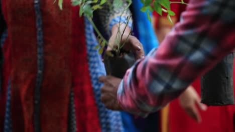 Mujer-India-Comprando-Una-Planta-De-Rosas-Cerca-Del-Rodaje,-Comprando-La-Mejor-Planta-De-Rosas-Para-Su-Hogar-Y-Jardín