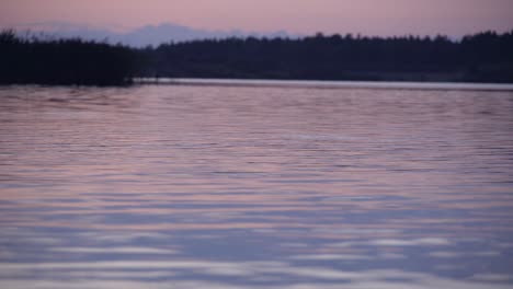 Fische-Springen-Bei-Sonnenuntergang-In-Den-See