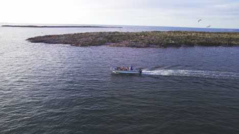 Ein-Motorboot-Mit-Touristen-Fährt-An-Einer-Großen-Insel-Mit-Kolonien-Von-Möwen-Und-Anderen-Seevögeln-In-Bahia-Bustamante-Vorbei