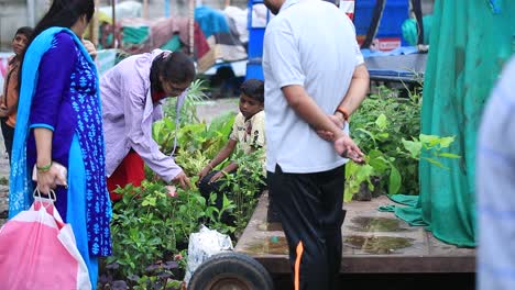 Zwei-Indische-Frauen-Fragen-Nach-Dem-Preis-Für-Verschiedene-Pflanzen-Und-Verfolgen-Eine-Aufnahme-Des-Marktes-Mit-Leuten,-Die-Eine-Pflanze-Kaufen