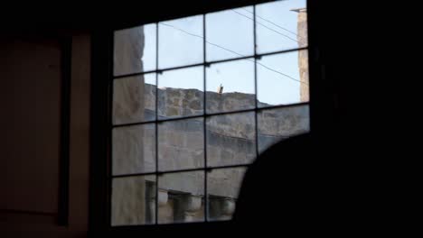 Silhouette-of-a-man-walking-inside-of-a-building-with-windows-and-a-castle-outside