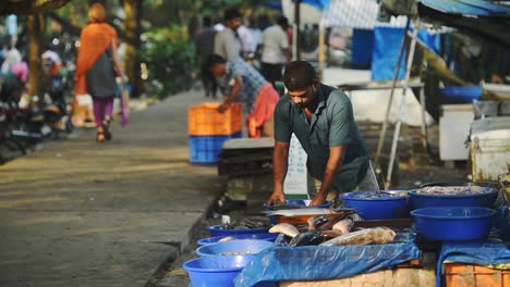 Un-Pescador-Vendiendo-Peces-En-Cuencas-De-Plástico-Azul-En-Fort-Kochi,-India---Primer-Plano