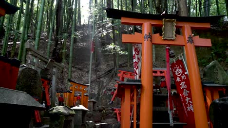 Vermillion-Torii-Gates-In-Bamboo-Forest-Hillside-With-Sun-Shining-Through-At-Fushimi-Inari-taisha