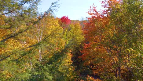 Im-Herbst-Durch-Die-Natürliche-Schönheit-Von-Montreal,-Kanada,-Fliegen