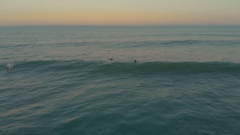 Surfers-trying-to-cruise-on-the-mild-calm-waves-of-Santinho-Beach-at-golden-magic-hour