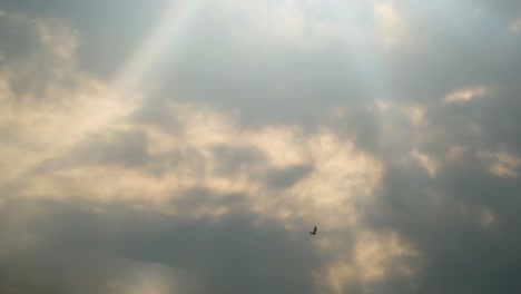 Sunbeams-break-through-the-clouds-as-eagle-birds-flying-after-sunrise