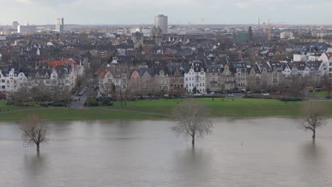 Trees-partially-submerged-as-Rhine-river-floods,-Oberkassel-Germany,-drone-view