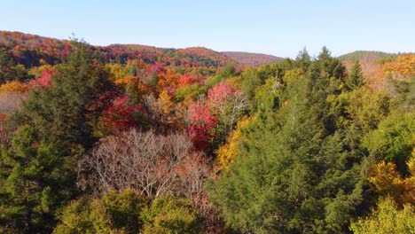 Treetop-View-of-Rural-Autumn-Forest-with-Rolling-Hills-on-the-Horizon-in-Montreal