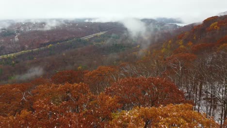 Fliegen-Sie-über-Neblige-Herbstbäume-Im-Mount-Washington-State-Park,-New-Hampshire,-USA