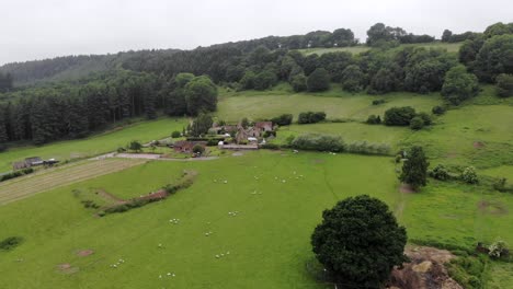 Aerial-Flyover-in-the-English-Countryside,-with-Small-Village-and-a-Field-of-Sheep