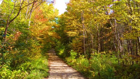 Walking-Path-in-forest-during-autumn-fall-in-countryside-Montreal,-Quebec,-Canada