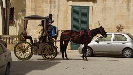 Horse-Carriage-Waiting-On-The-Street-For-Tourists-In-The-Silent-City,-Mdina