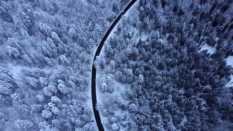 Aerial-tilt-down-view-of-mountain-road-with-snow-capped-forest-during-winter-in-Hautes-Vosges,-France