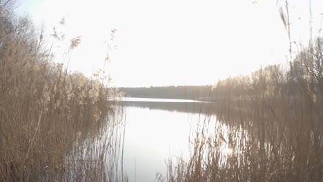 Eine-Ruhige-Aufnahme-Eines-Wunderbaren,-Farbenfrohen-Sonnenuntergangs-An-Einem-Wunderschönen-See