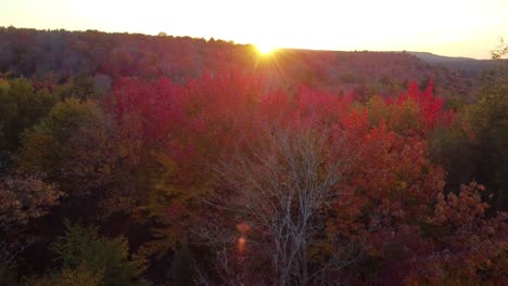 Aerial-fall-autumn-colour-tree-in-Canada-forest-at-sunset,-Montreal,-Quebec