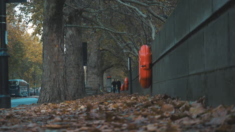 Low-Angle-Shot-of-London-Thames-Path-on-Millbank-lots-of-Leaves-on-footpath