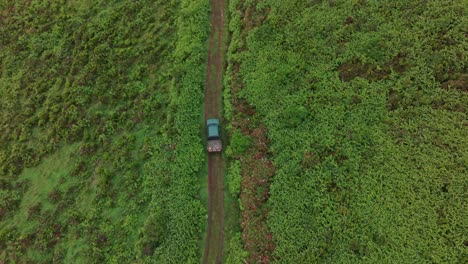 Top-down-view-of-green-4wd-pick-up-truck-on-dirt-road-in-Azores-island---Drone-shot