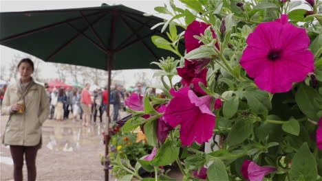 People-casually-shopping-for-flowers-and-plants-at-a-farmer's-market
