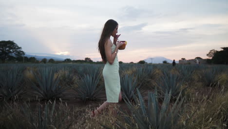 Model-drinking-a-mezcal-beverage-on-a-clay-jar-on-a-Agave-Plantation-in-Mexico---Slow-motion-Tracking-shot
