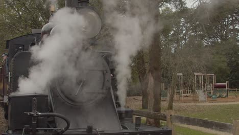 Historic-'Puffing-Billy'-steam-train-releasing-steam-at-Gembrook-Station