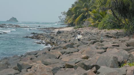 Surfista-Sosteniendo-Una-Tabla-De-Surf-Y-Ascendiendo-Desde-El-Océano-En-Weligama,-Matara,-Sri-Lanka