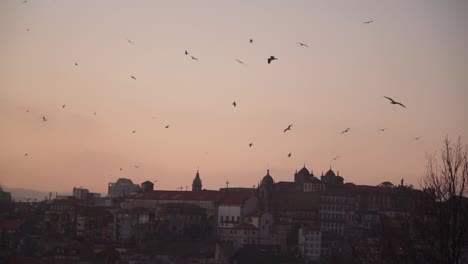 Establishing-shot,-Birds-flying-around,-Scenic-view-of-Old-Town,-Porto,-Portugal,-Sun-sets-in-the-background