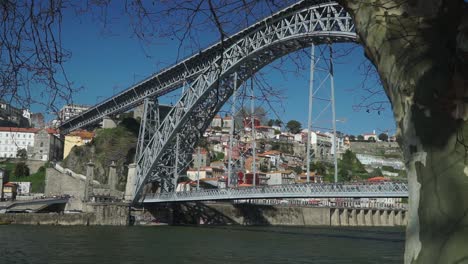 Trucking-left-shot,-Tree-revealing-the-Dom-Luis-Bridge-and-Douro-River-in-Porto-Portugal-in-the-background
