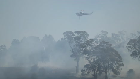 Helicopter-flying-low-through-thick-smoke-above-tree-tops-and-bush-fire-in-Australia