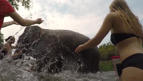 Female-Tourists-Spraying-Water-on-Young-Elephant-in-River-of-Thailand-National-Park-POV-Close-Up