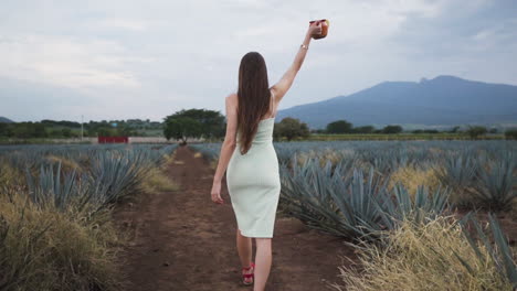 Girl-in-sundress-walking-and-holding-mezcal-drink-through-an-agave-plantation,-in-Jalisco,-Mexico---Slow-motion-Follow-shot