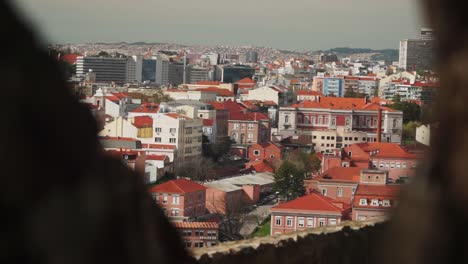 Medium-Focus-shot,-in-the-middle-of-tree-gap,-Scenic-view-of-buildings-and-houses-in-Lisbon-Portugal